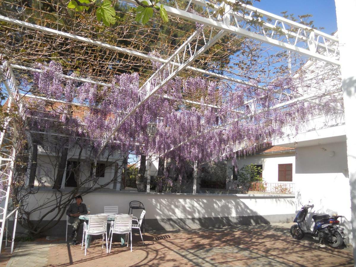 Apartments Gaj Brodarica  Dış mekan fotoğraf